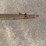 #1016-•-flow-e-z-gravity-cart-image-25