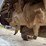 #1415-•-gomaco-3600-image-94