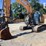 2020-case-cx245dsr-image-9