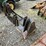 #2077-•-3pt-tree-spade-image-5
