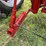 farmall-450-image-54