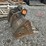 #2038-•-cp-23"-excavator-bucket-image-5