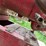 3hp-fairbanks-model-z-image-6