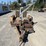 1993-buz's-12'-t/a-equipment-trailer-image-8