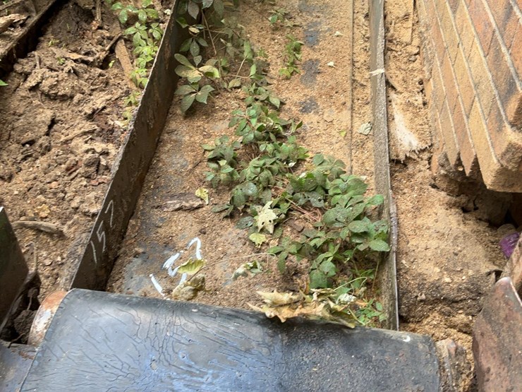 #157-•-belt-conveyor-image-2