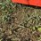 #206-•-bed-extension-for-wood-mizer-sawmill-image-7