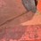 #1018-•-bushnell-gravity-cart-with-auger-image-33