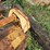 #2081-•-mott-77"-3pt-flail-mower-image-12