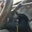 #16993-•-2012-toyota-prius-c-passenger-car-image-38