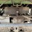 2007-john-deere-gator-image-24