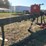 #221-•-morgan-chop-saw-image-7