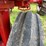 farmall-560-diesel-image-13