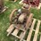 1.5hp-mccormick-deering-ihc-m-image-4