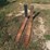 #105-•-set-of-42"-pallet-forks-image-1
