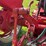 farmall-340-image-55