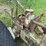 silver-king-r38-project-image-8