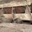 #1009-•-roto-mix-forage-express-image-28