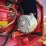 farmall-350-diesel-high-crop-image-63