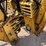 #8203-•-vermeer-b930-backhoe-attachment-image-16