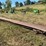 #208-•-belt-conveyor-image-1