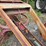 #2010-•-illinois-s-15a-pull-type-8'-grader-image-22