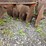 #2075-•-5'-3pt-disk-image-10