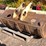 #8207-•-excavator-bucket-image-4