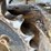 2000-wacker-neuson-3503-image-54