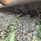 #2081-•-mott-77"-3pt-flail-mower-image-13