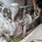 22-40-gray-drum-drive---canadian-special-image-9