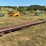#208-•-belt-conveyor-image-2