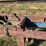 #222-•-live-rollcase-image-7