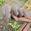 #2023-•-3pt-furrow-disk-image-13