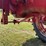 farmall-400-diesel-high-crop-image-73