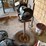 #202-•-delta-8"-bench-grinder-w/-flexible-lamp-image-2