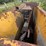 #1415-•-gomaco-3600-image-108