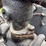 case-18-32-crossmotor-image-27