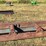 #222-•-live-rollcase-image-8