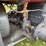 case-12-20-crossmotor-image-9