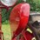 farmall-560-diesel-image-65