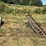 #201-•-roll-case-and-dead-rolls-image-1