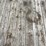 #1974-•-2015-load-trail-18'-trailer-(has-wi-title)-image-28