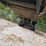 1993-mate-end-dump-image-62