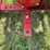 farmall-560-lp-image-53