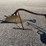 #6633-•-vintage-plow-image-1