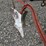 #2063-•-anitique-sub-soil-plow-image-3