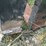 #109-•-set-of-42"-pallet-forks-image-10