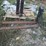 #109-•-set-of-42"-pallet-forks-image-2