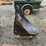 #2077-•-3pt-tree-spade-image-6