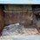 #16995-•-1984-fuel-semi-trailer-image-53